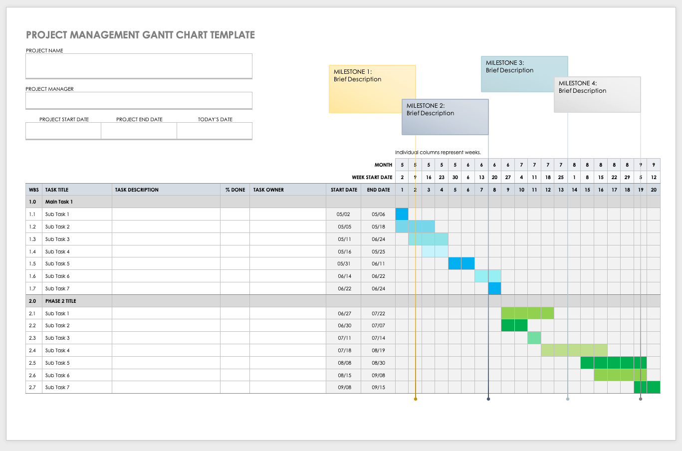 Project Management Gantt Chart Template