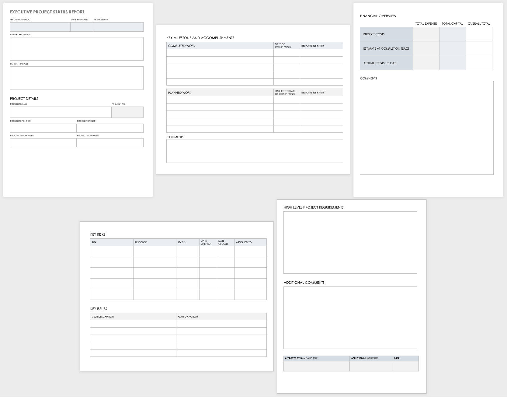 Executive Project Status Report Template 