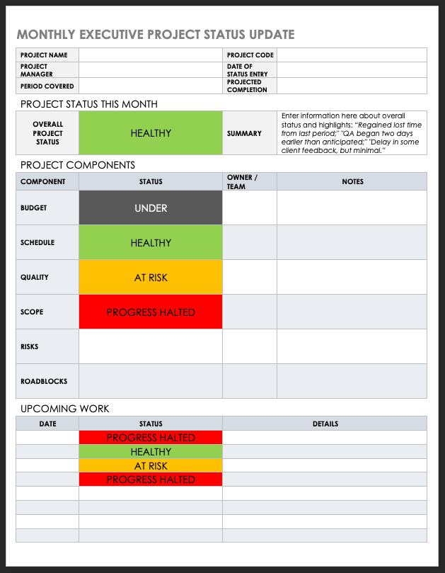 Monthly Executive Project Status Update Template