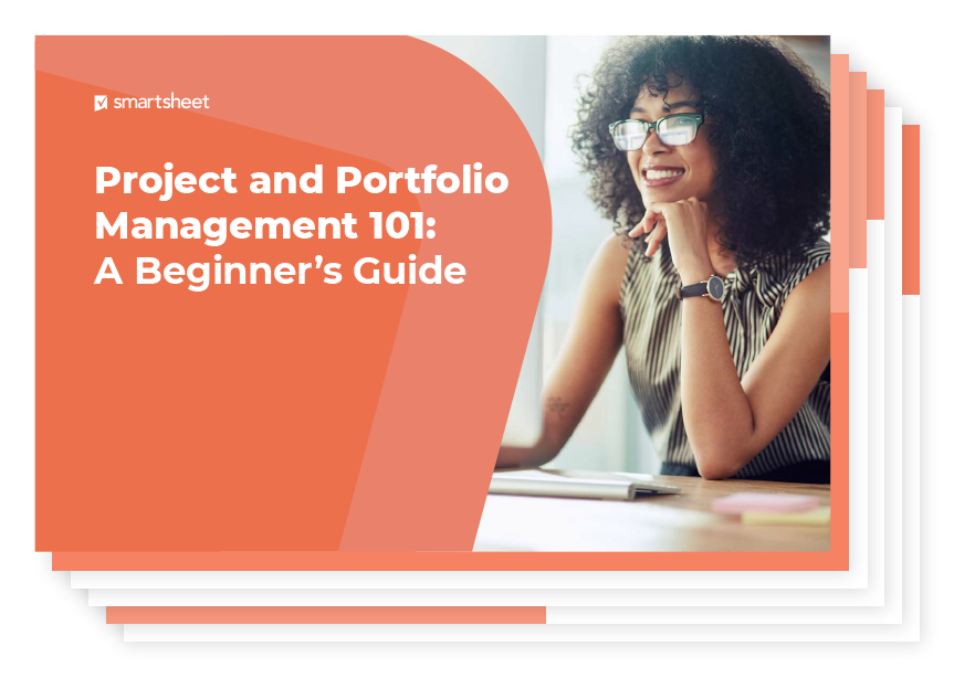 PPM 101 ebook thumbnail