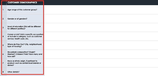 Customer Profile Template Demographics