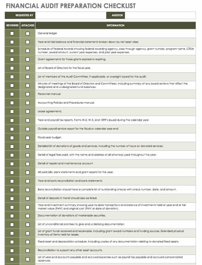 Financial Audit Checklist